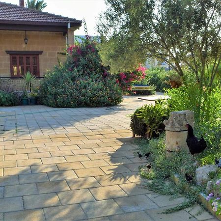 Golden Palms Guest House & Cafe Famagusta  Ngoại thất bức ảnh