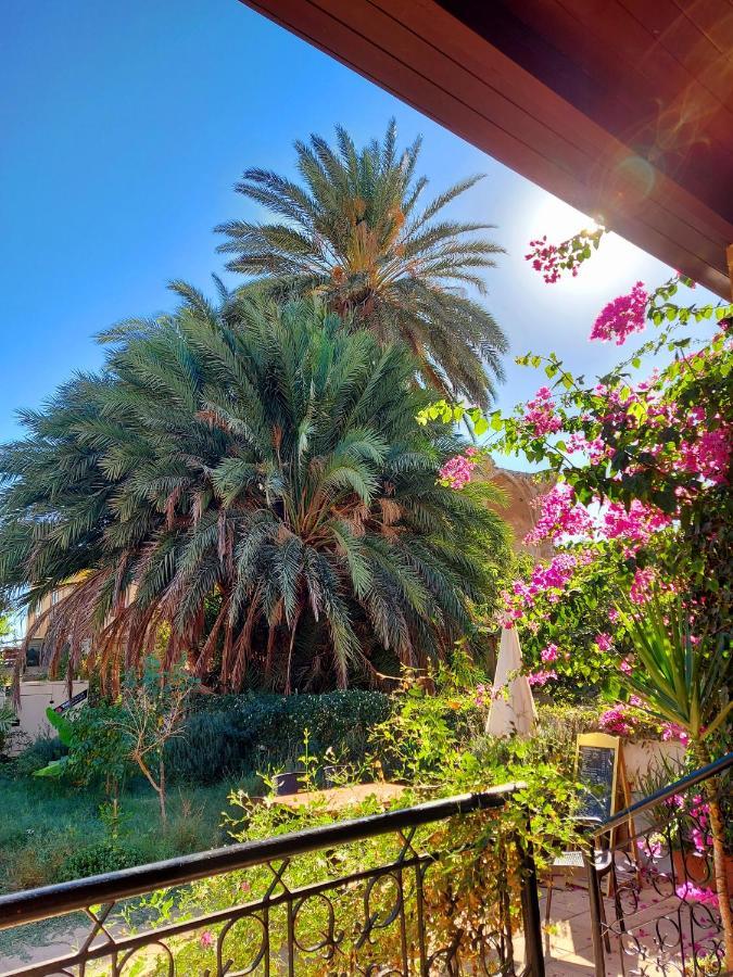 Golden Palms Guest House & Cafe Famagusta  Ngoại thất bức ảnh