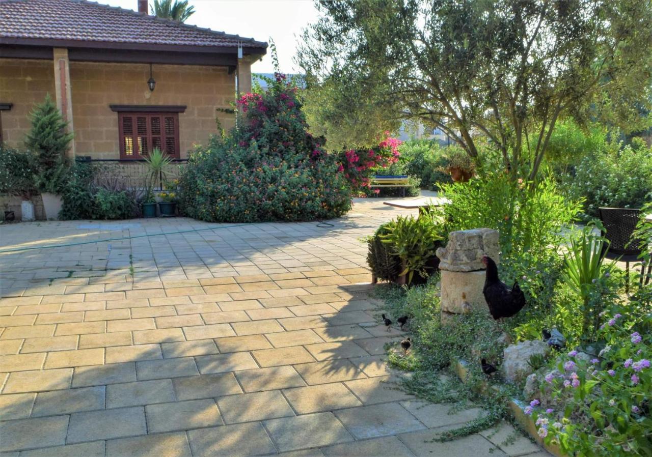 Golden Palms Guest House & Cafe Famagusta  Ngoại thất bức ảnh